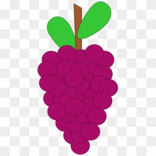 Raspberry Free On Dumielauxepices Net - Cartoon Grape Vine, HD Png Download