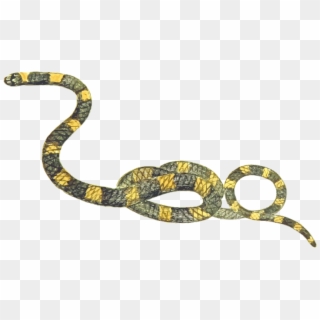 Rattlesnake Reptile Snakes Boa Constrictor Vipers - Mořský Had Žluto Černý, HD Png Download