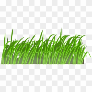 Frost Clipart Grass - Gras Cartoon, HD Png Download