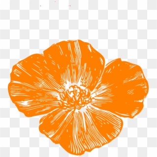 Small - California Poppy Vector Transparent Background, HD Png Download