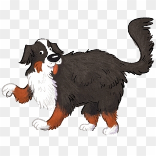 Stormy - Bernese Mountain Dog, HD Png Download