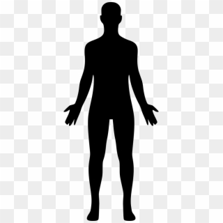 Png File Svg - Human Body Silhouette Png, Transparent Png