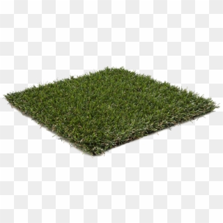 Oryzon Grass Fake Turf Grass - Hedge, HD Png Download