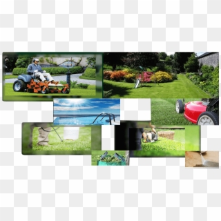 Professional Lawn And Garden Care Provider Brisbane - Lawn, HD Png Download