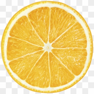 Citrus Fruits - Orange Slice Transparent Background, HD Png Download