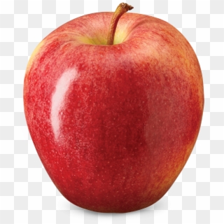 Gala - Apple Fruit, HD Png Download