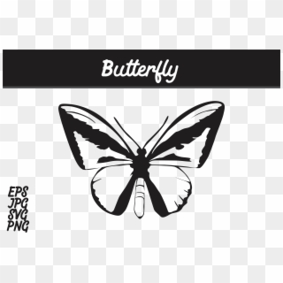 Butterfly Silhouette Svg Vector Image Graphic By Arief - Batik Mega Mendung Vector Png, Transparent Png