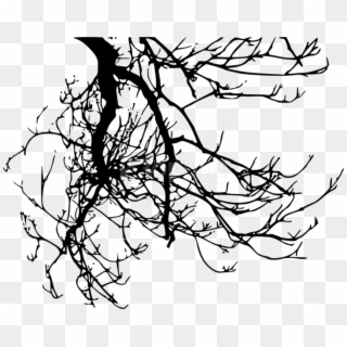 Free Tree Branches Silhouette Images Transparent Png - Tree Branches Transparent Background, Png Download