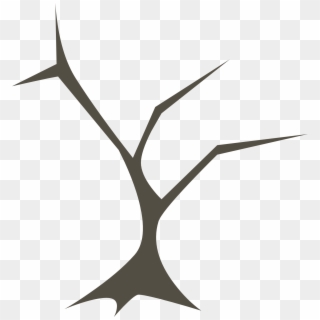 Drawing Of Sharp Tree Branches Without Leaves - شجرة متفرعه, HD Png Download