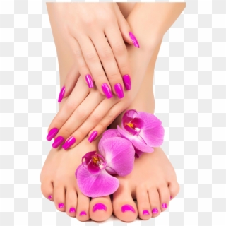 And Feet Close-up Pedicure Lotion Nail Manicure Clipart - Manicure Images Free Download, HD Png Download