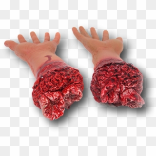5 Of 11 Bloody Severed Fake Latex Arm Arms Leg Legs, HD Png Download