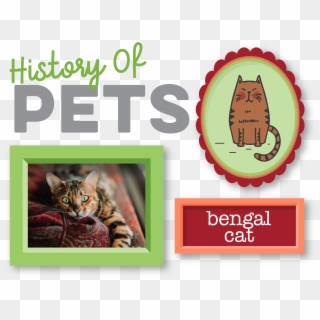 History Of Pets Bengal Cat - Poster, HD Png Download