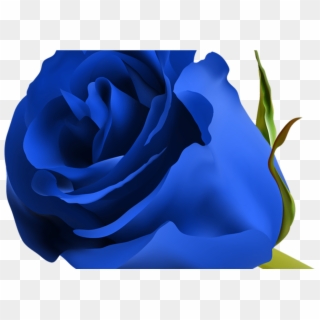 Blue Rose Png Clip Art Image Clipart Pinterest Blue - Beautiful Blue Rose Flowers, Transparent Png