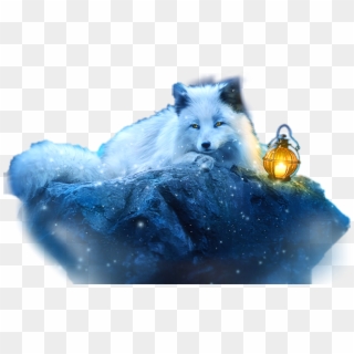 #ftestickers #white #wolf - White Fox Wallpaper Hd, HD Png Download