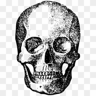 Bone Skeleton Skull Png Image - Calavera Twenty One Pilots, Transparent Png