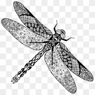 Tattoo Dragonfly Photography Insect Drawing Stock Clipart - Dragonfly Tattoo, HD Png Download
