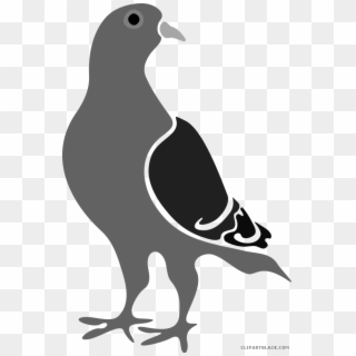 Pigeon Clipart - Google Pigeon Algorithm, HD Png Download