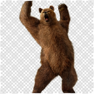 Download Grizzly Bear Transparent Png Clipart Grizzly - Art Pencils Png Transparent, Png Download