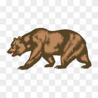 Calif Transparent Bear - California Grizzly Bear Drawing, HD Png Download