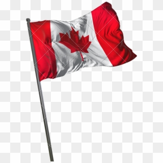 Canadian Flag Png - Canadian Flag Transparent Background, Png Download