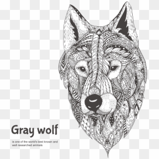 Drawing Wolf Face - Dibujos De Lobos Su Cara, HD Png Download