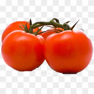 Tomato Png Image - Three Tomatoes Clipart, Transparent Png