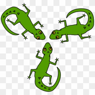 Gecko Salamander Lizard - Lizards Clipart, HD Png Download