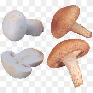 White Mushrooms, Stuffed Mushrooms, Stuff Mushrooms - Mushroom, HD Png Download