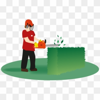 Hedges Clipart Hedge Trimming - Hedge Trimming Clipart, HD Png Download
