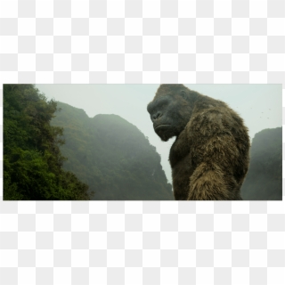 Why Vietnam Was The Perfect Location For Kong - Kong Skull Island 🏝, HD Png Download