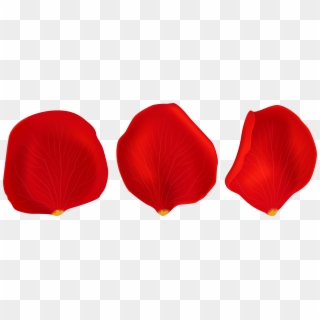 Red Rose Petals Transparent Png Clip Art - Rose Petals Png Transparent, Png Download