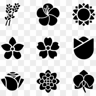 Flowers Species - Flowers Icon Transparent Background, HD Png Download