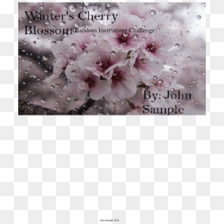Winter's Cherry Blossom *wip* - Cherry Blossom, HD Png Download