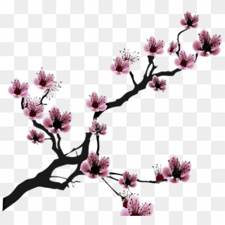 Cherry Blossom Drawing Clip Art - Cherry Blossom Clip Art Black And White, HD Png Download