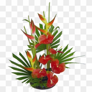 50 Previous Next - Tropical Flower Arrangement, HD Png Download