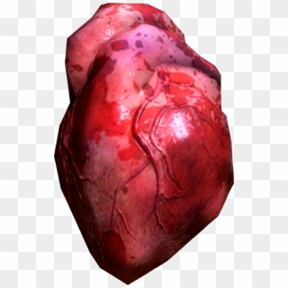 Real Heart Png - Hearts Human, Transparent Png