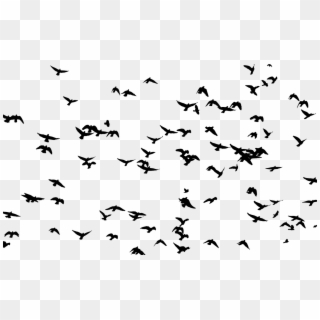 Bird Flight Flock Silhouette Swallow - Flock Of Birds Silhouette, HD Png Download