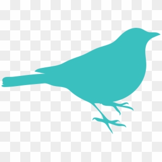Medium Turquoise Bird Clipart Png - Robin Bird Silhouette Png, Transparent Png