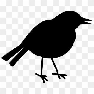 Big Image - Bird, HD Png Download