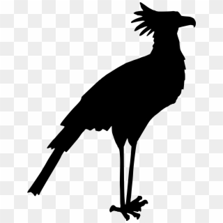 This Free Icons Png Design Of Secretary Bird 1, Transparent Png