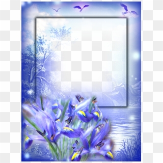 Baby Photo Frames - Transparent Photo Frames For Baby, HD Png Download