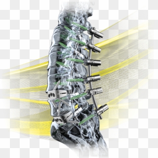 Spinal Solutions - Illustration, HD Png Download