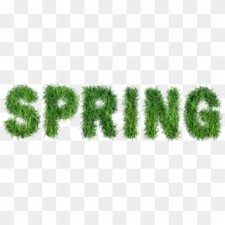 Spring With Grass Text Png Clipart - Spring Text Png, Transparent Png