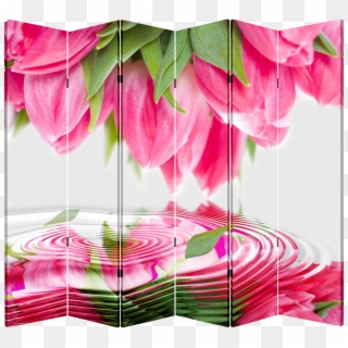 6 Panel Folding Screen Canvas Divider- Pink Tulips - Anthurium, HD Png Download