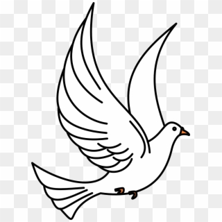 Dove Birds Flying Flight Wings Png Image - Flying Bird Clipart Black And White, Transparent Png