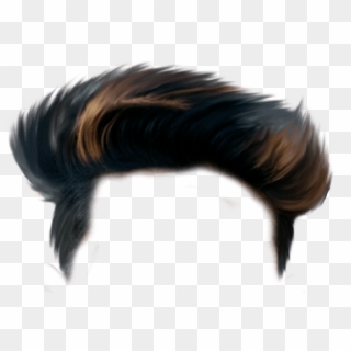 Hair PNG Transparent For Free Download - PngFind