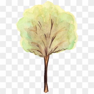 Free Download - Png Water Color Tree, Transparent Png