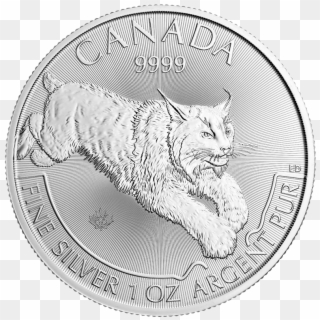 Silver Royal Canadian Mint Predator Series Lynx - Silver, HD Png Download
