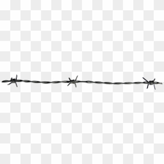 Barbed Wire Fence Png - Barbed Wire, Transparent Png