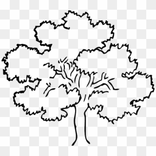 Tree Black And White, HD Png Download